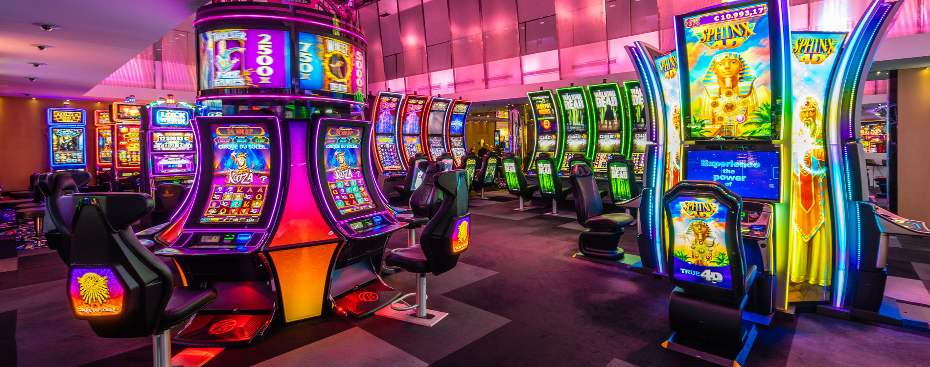 Port Casino Sites: Reviews, Gamble Limitations, and Legal Status