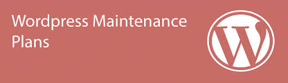 Stay Ahead of the Curve: WordPress Maintenance Plan Best Practices
