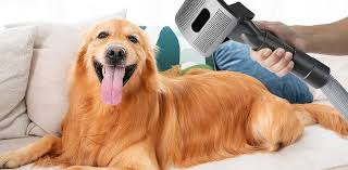 Discover what are definitely the expenses that apply to the dog blow dryers