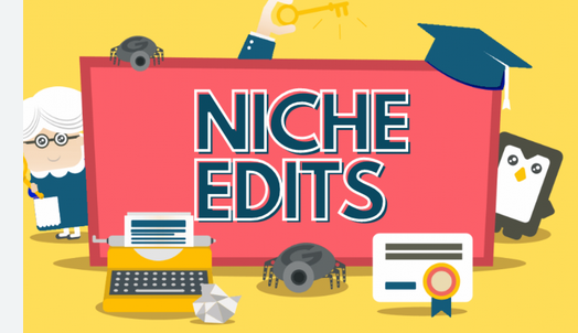 Buy Niche Edits: Empowering Your Website’s SEO Efforts with Expert Assistance