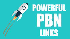 PBN Chronicles: The Path to SEO Supremacy